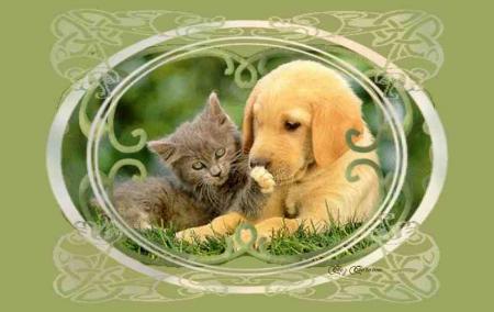 Animaux